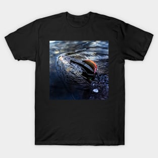 Grayling T-Shirt